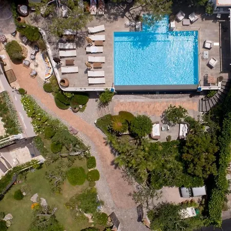 酒店 大熊座酒店 阿纳卡普里